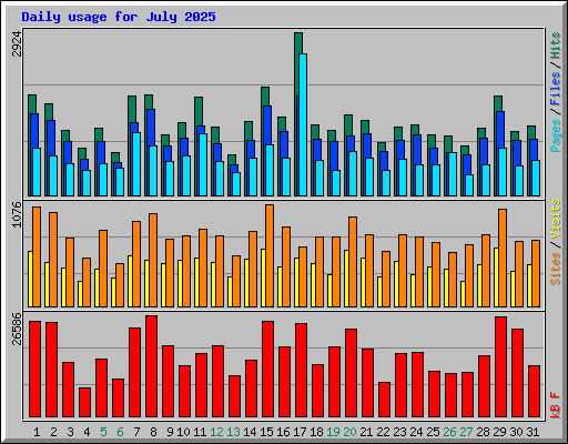 Daily usage for July 2025