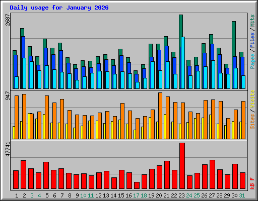 Daily usage for January 2026