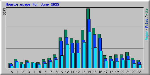 Hourly usage for June 2025