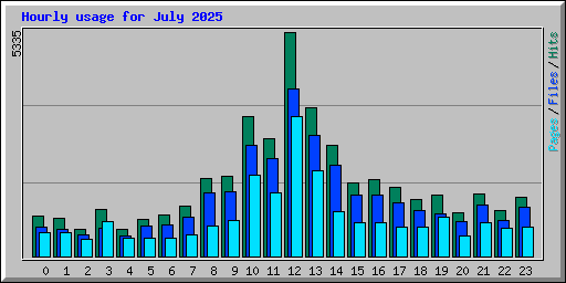 Hourly usage for July 2025