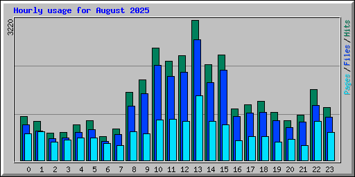 Hourly usage for August 2025