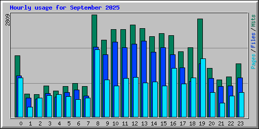 Hourly usage for September 2025
