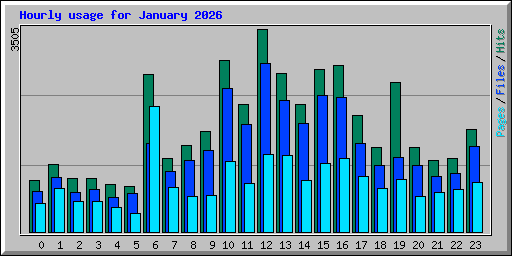 Hourly usage for January 2026