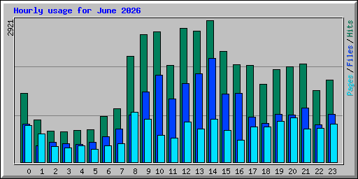 Hourly usage for June 2026