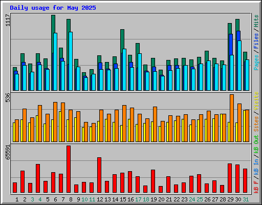 Daily usage for May 2025