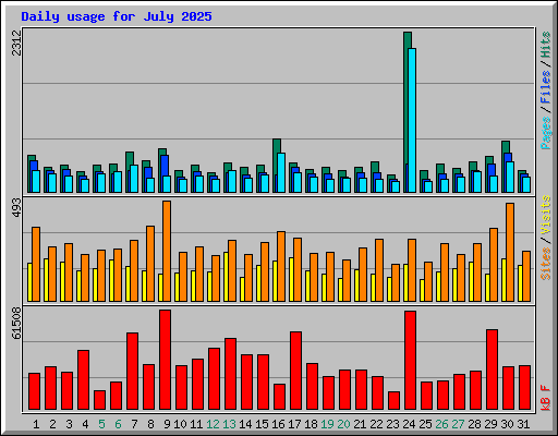 Daily usage for July 2025