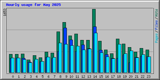 Hourly usage for May 2025