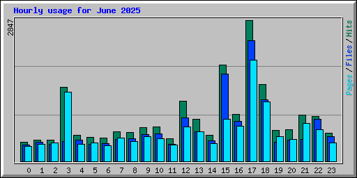 Hourly usage for June 2025