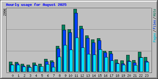 Hourly usage for August 2025