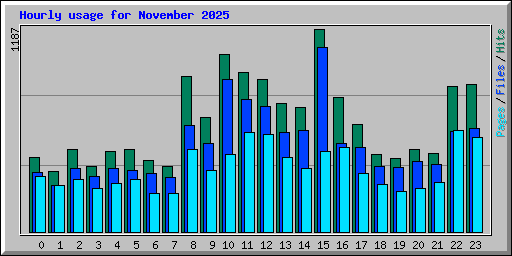 Hourly usage for November 2025