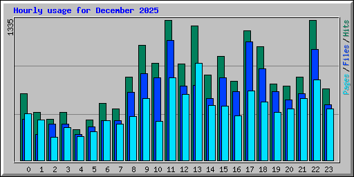 Hourly usage for December 2025