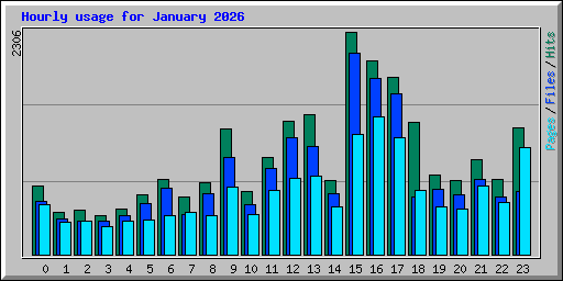 Hourly usage for January 2026