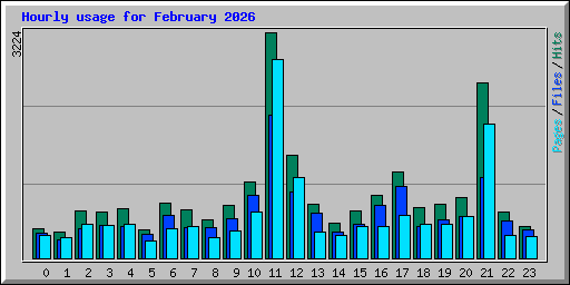 Hourly usage for February 2026
