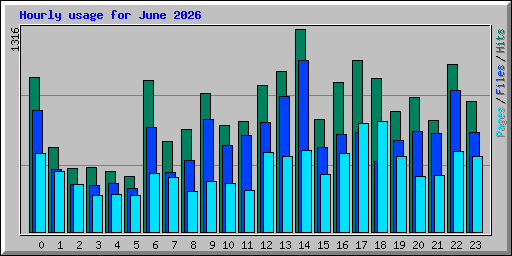 Hourly usage for June 2026