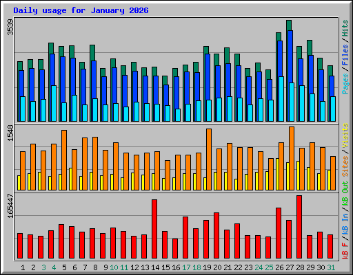 Daily usage for January 2026