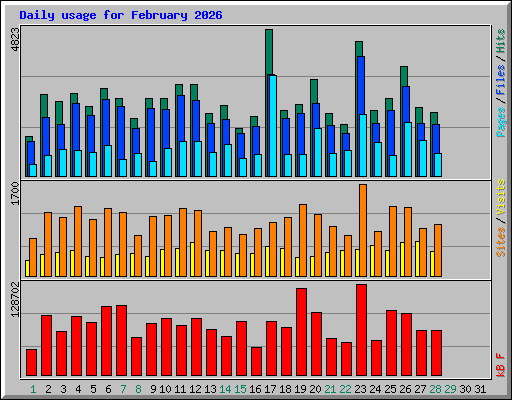 Daily usage for February 2026