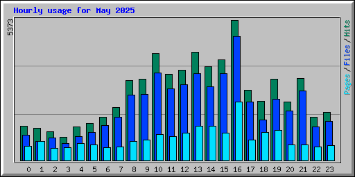 Hourly usage for May 2025