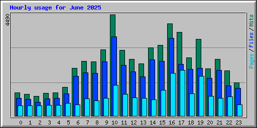 Hourly usage for June 2025