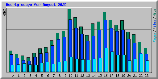 Hourly usage for August 2025