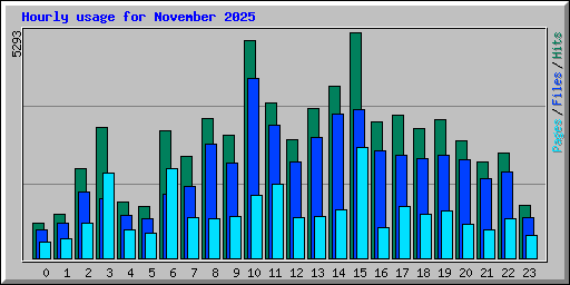 Hourly usage for November 2025
