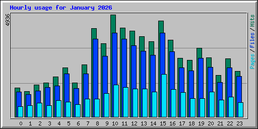 Hourly usage for January 2026