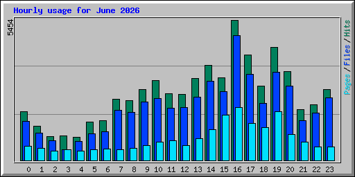 Hourly usage for June 2026