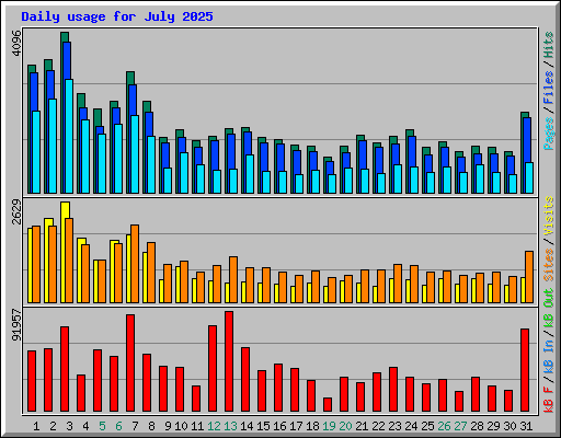 Daily usage for July 2025