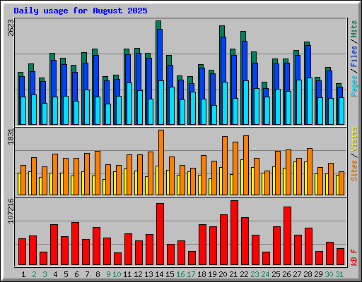 Daily usage for August 2025