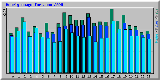 Hourly usage for June 2025