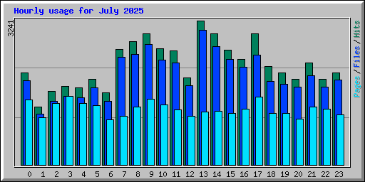 Hourly usage for July 2025