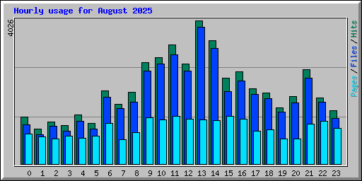Hourly usage for August 2025