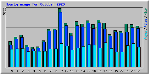 Hourly usage for October 2025