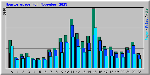 Hourly usage for November 2025