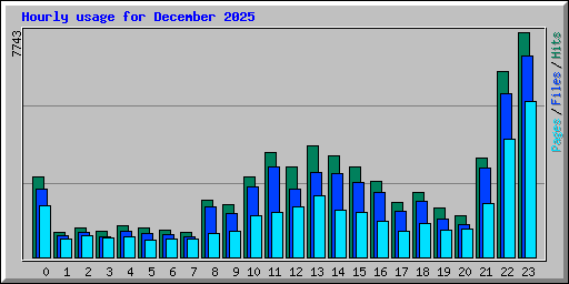Hourly usage for December 2025