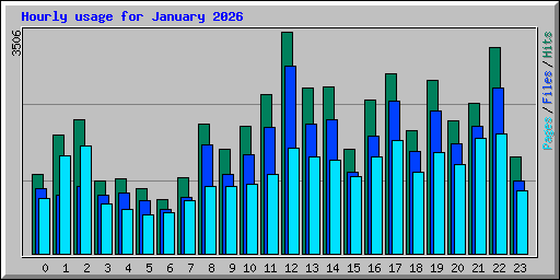 Hourly usage for January 2026