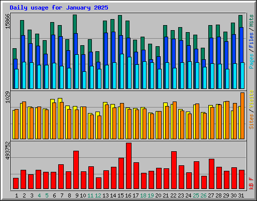 Daily usage for January 2025