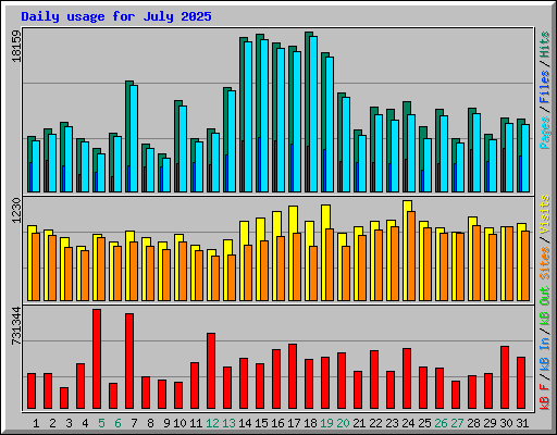 Daily usage for July 2025
