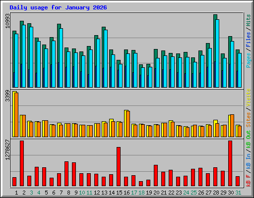 Daily usage for January 2026
