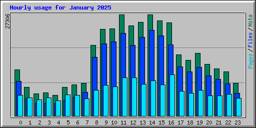 Hourly usage for January 2025