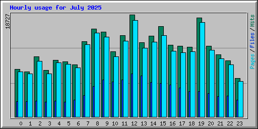 Hourly usage for July 2025