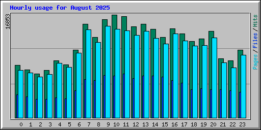 Hourly usage for August 2025