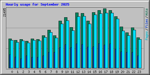 Hourly usage for September 2025