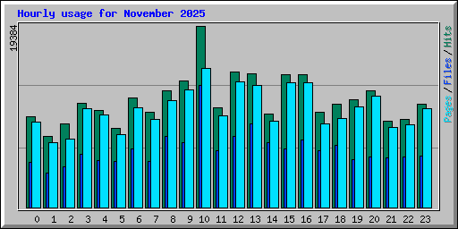 Hourly usage for November 2025