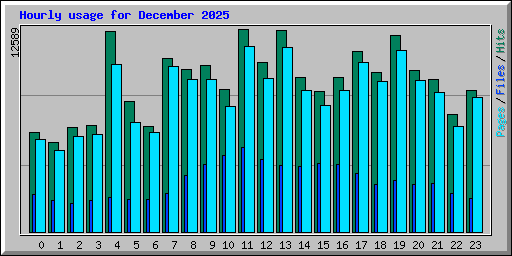 Hourly usage for December 2025