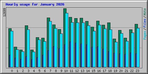 Hourly usage for January 2026