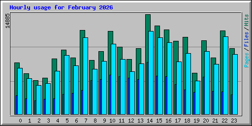 Hourly usage for February 2026