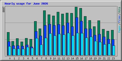 Hourly usage for June 2026