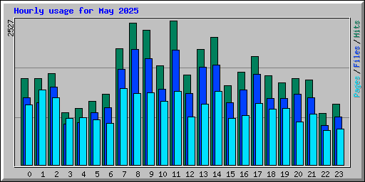Hourly usage for May 2025