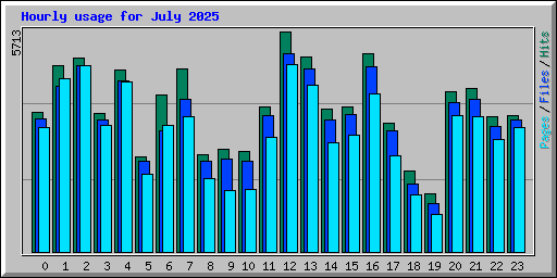 Hourly usage for July 2025