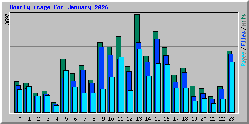 Hourly usage for January 2026